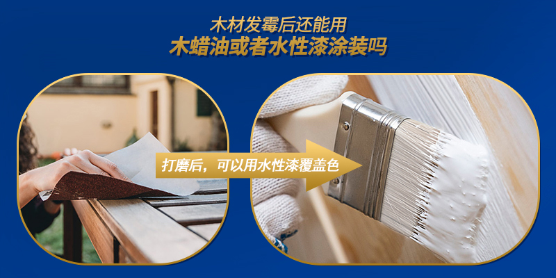 1679015371620688.jpg 3.jpg